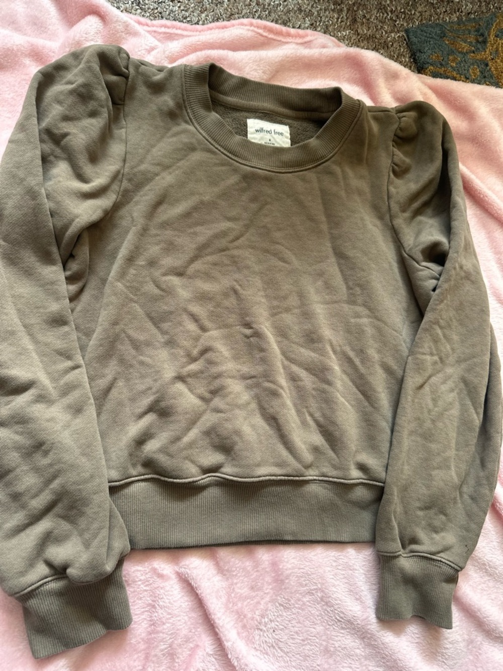 Wilfred Free Taupe Crewneck Sweatshirt
